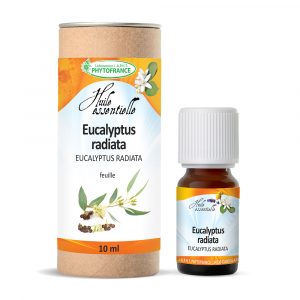 Huile-essentielle-eucalyptus-radiata-phytofrance