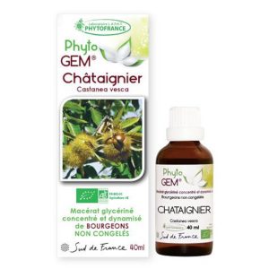 chataignier-phytogem-gemmotherapie-phytofrance
