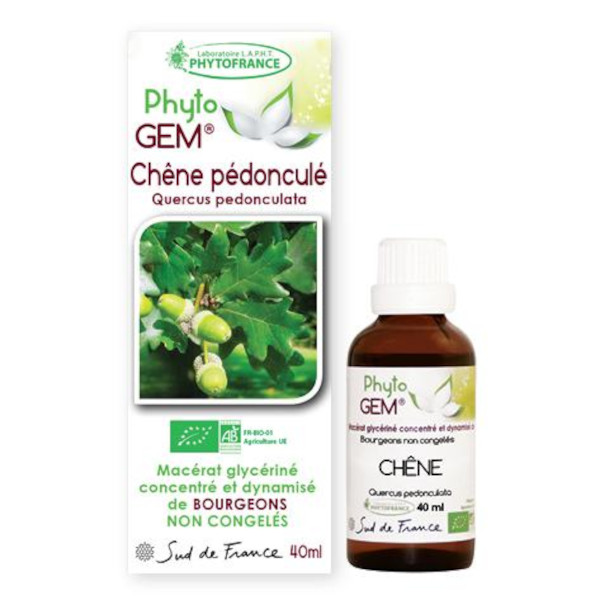 chene-pedoncule-phytogem-gemmotherapie-phytofrance