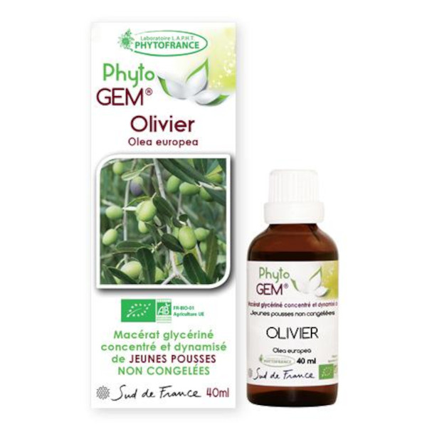 olivier-phytogem-gemmotherapie-phytofrance