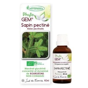 sapin-pectine-phytogem-gemmotherapie-phytofrance-1-e1693734874114