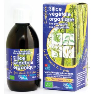 silice-vegetale-organique-remineralisant-regenere-tissus-osseux