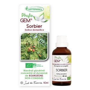 sorbier-phytogem-gemmotherapie-phytofrance