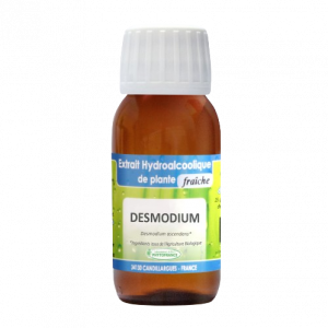 extrait-hydroalcoolique-desmodium